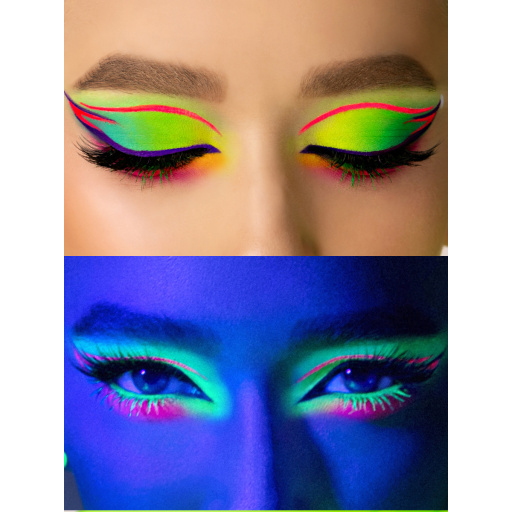 Eyeshadow Pigment palette / 01 ELECTRIC